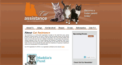 Desktop Screenshot of catassistanceny.org
